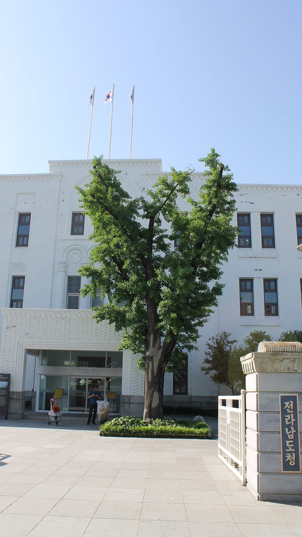 The white facade of the former South Jeolla Provincial Office in Gwangju, with a ginkgo tree in front and the gate plaque on the right.